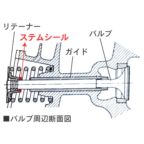 FLAT4 ONLINE SHOP / DPH バルブステムシールSET 40HP-ON